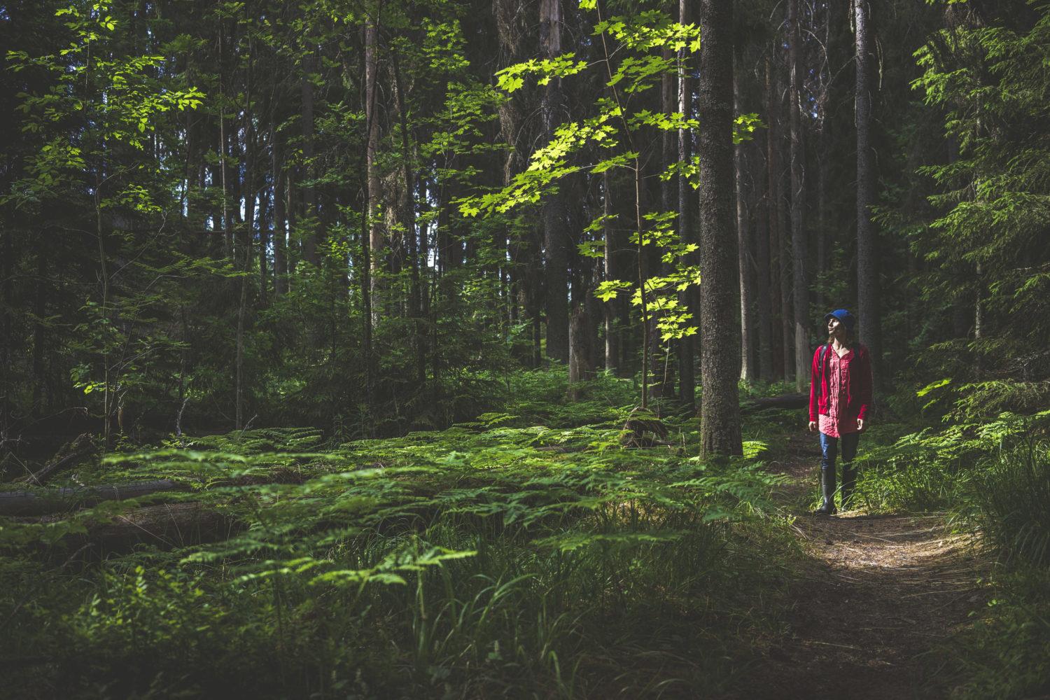 Metsä meidän jälkeemme -kirjaan kirjoittanut Anni Kytömäki kävelee metsäpolulla kesäisessä kuusimetsässä.