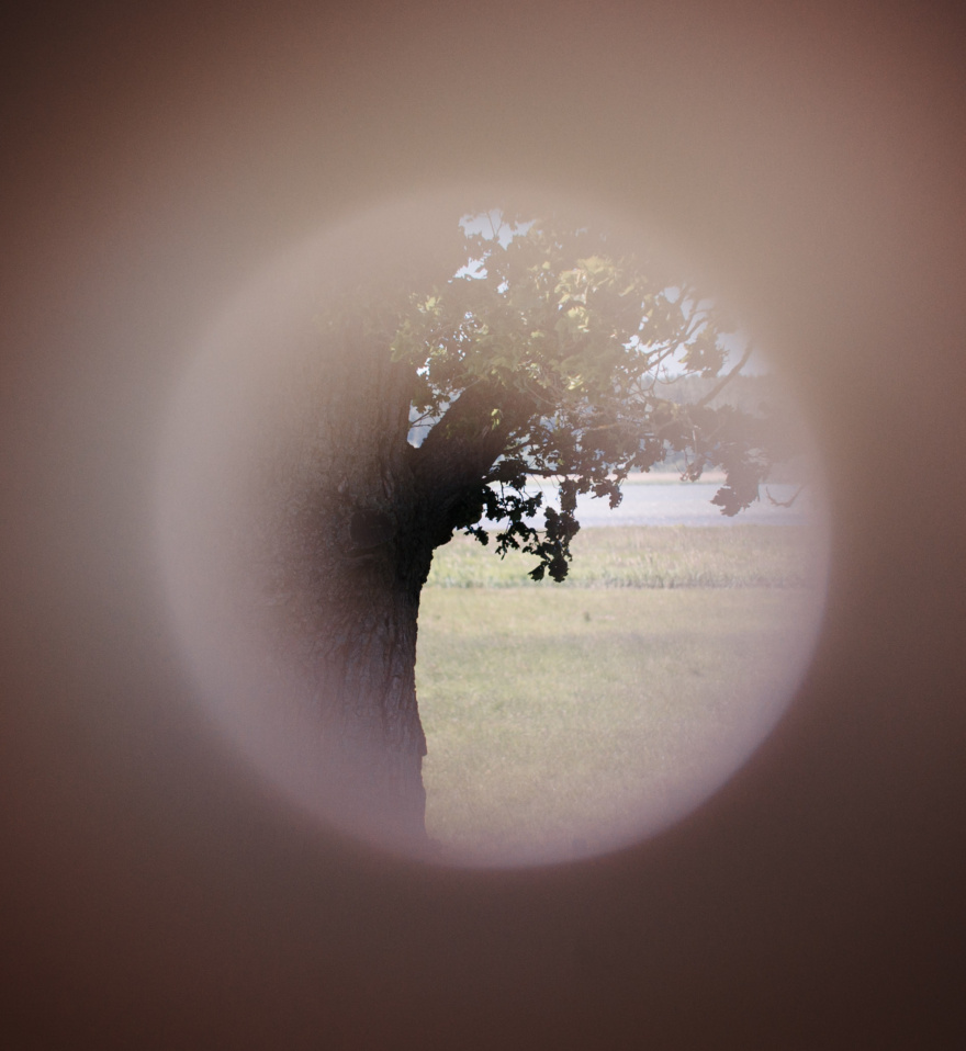 Telescope view of the tree.